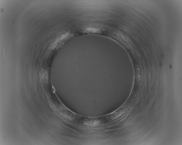 X0000067890551200604201312