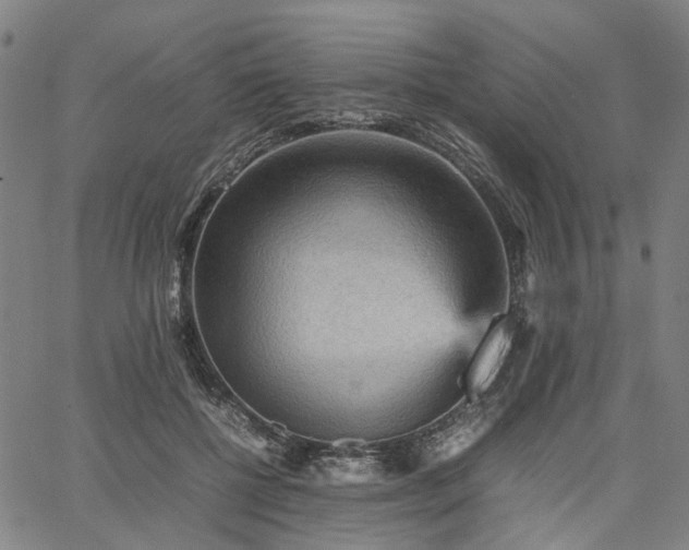 X0000067890552200604201312