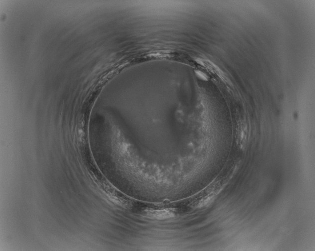 X0000067890553200604201312