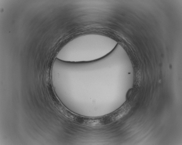 X0000067890554200604201312