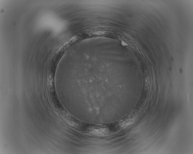 X0000067890555200604201312