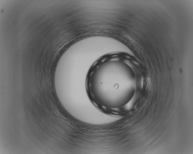 X0000067890556200604201312