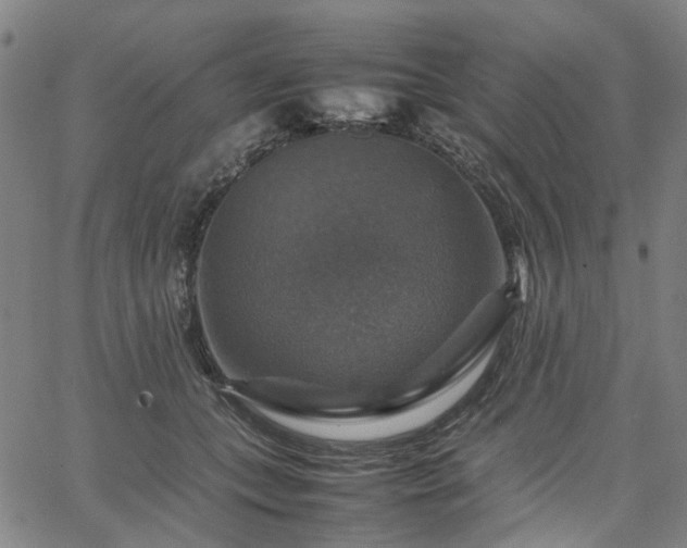 X0000067890559200604201312