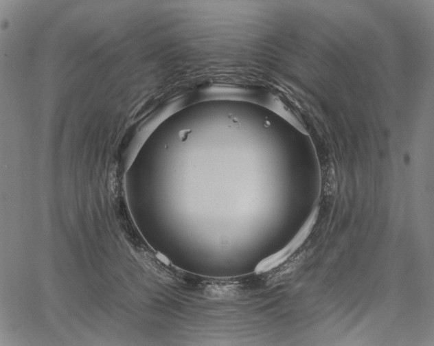 X0000067890560200604201312