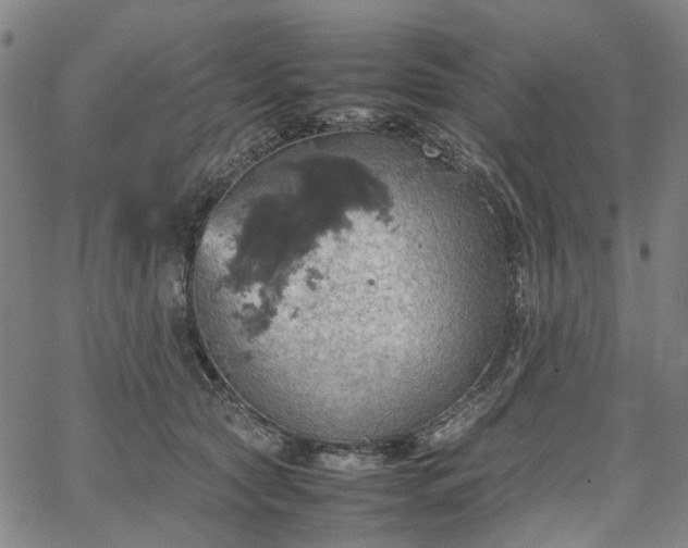 X0000067890561200604201312