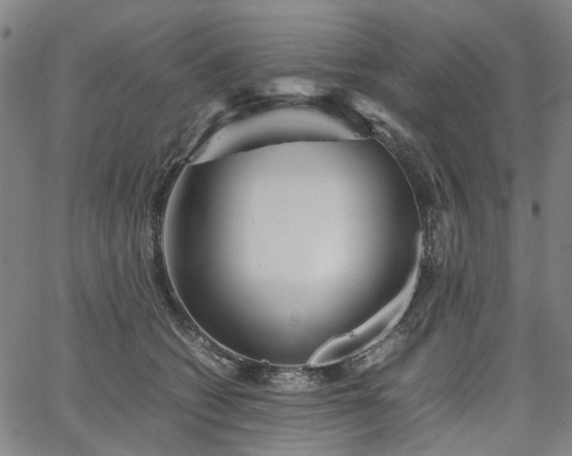 X0000067890562200604201312