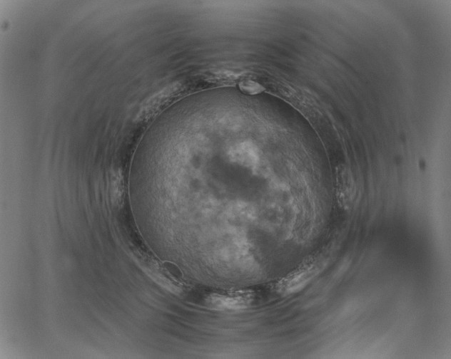 X0000067890563200604201312