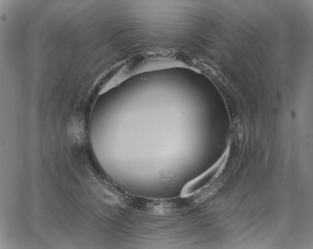 X0000067890564200604201312