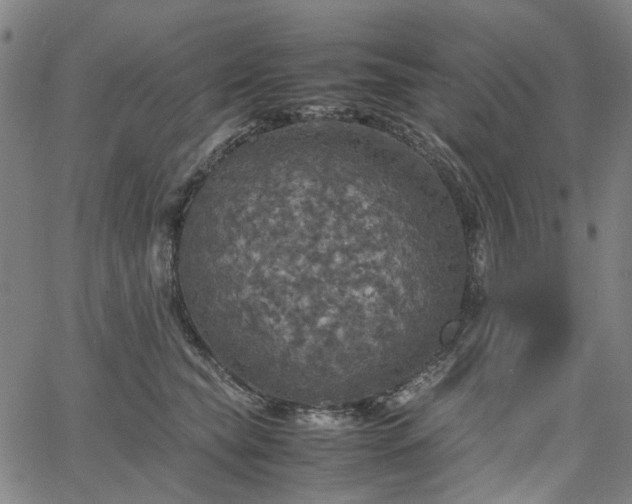 X0000067890565200604201312