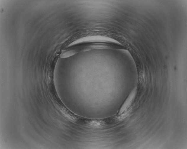 X0000067890566200604201312