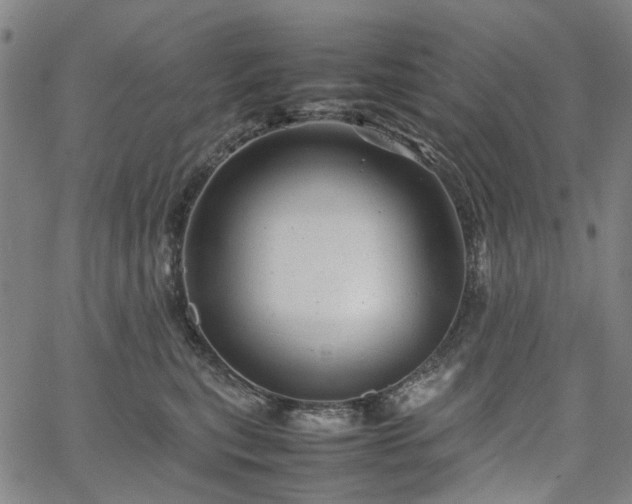 X0000067890567200604201312