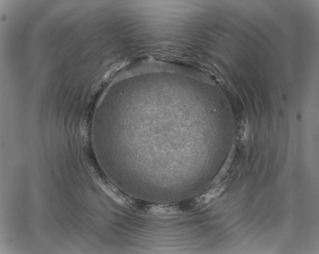 X0000067890568200604201312