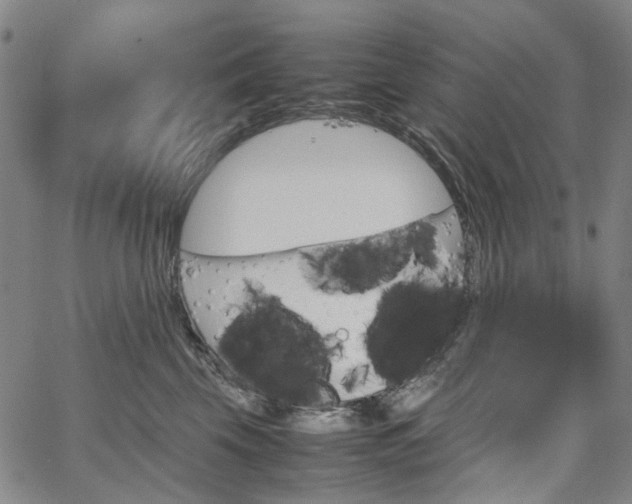 X0000067890569200604201312