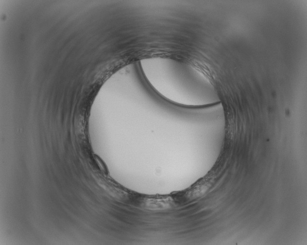 X0000067890571200604201312