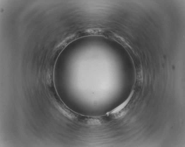 X0000067890572200604201312