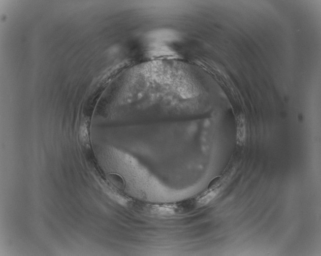 X0000067890573200604201312