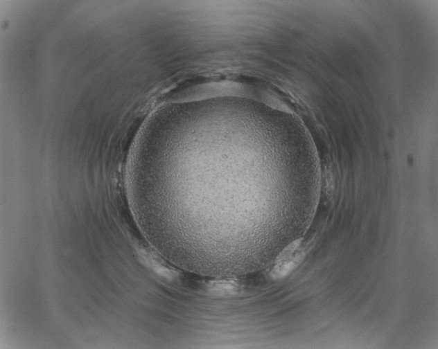 X0000067890574200604201312