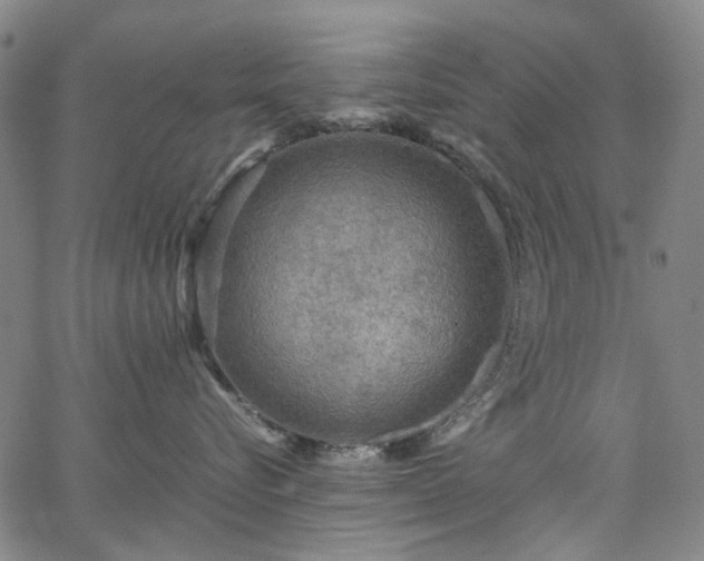 X0000067890576200604201312