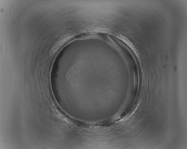 X0000067890577200604201311