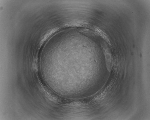 X0000067890578200604201311