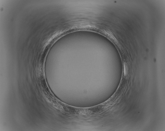 X0000067890579200604201311