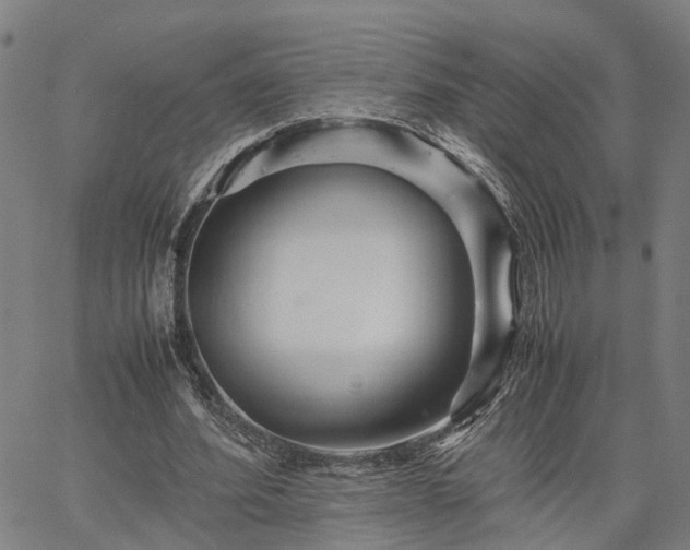 X0000067890580200604201311