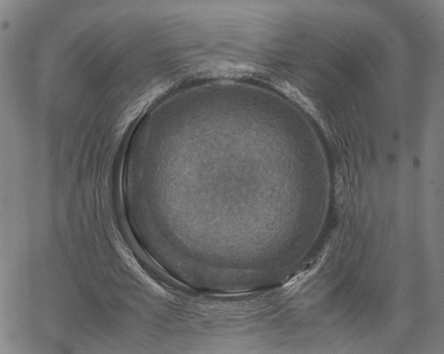 X0000067890581200604201311