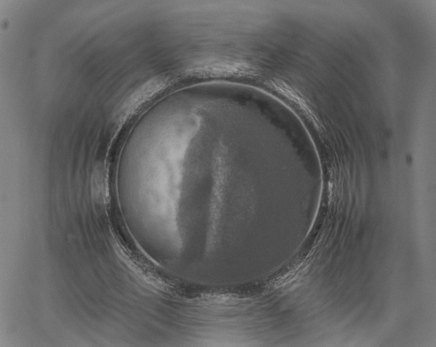 X0000067890582200604201311