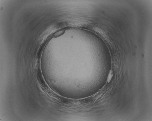 X0000067890583200604201311