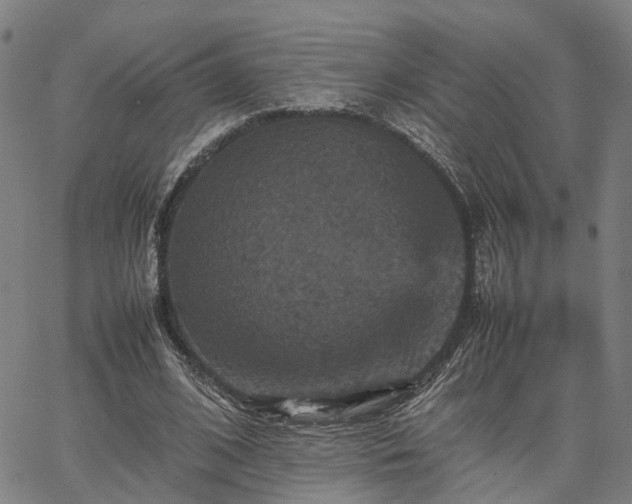 X0000067890584200604201311