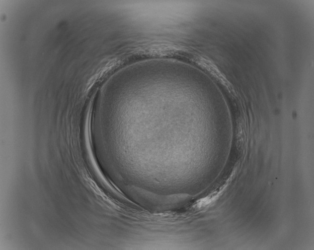 X0000067890585200604201311