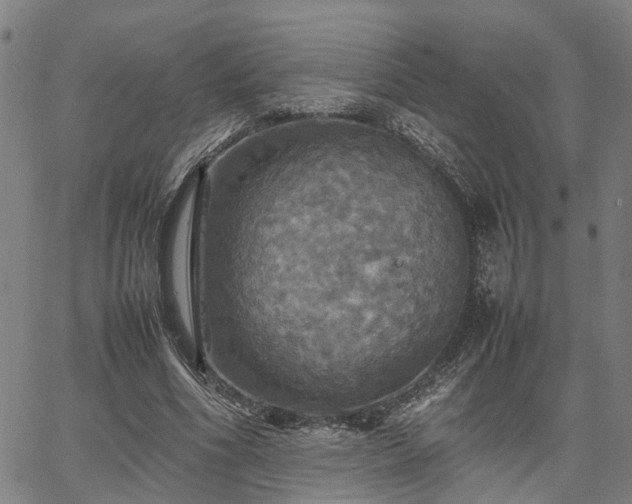 X0000067890586200604201311