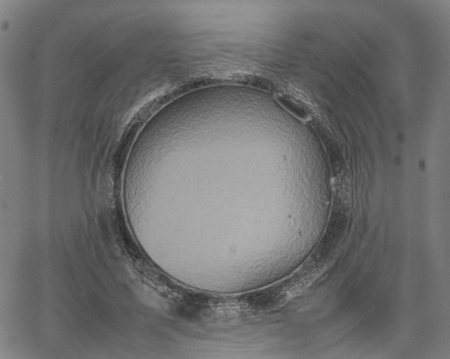 X0000067890587200604201311