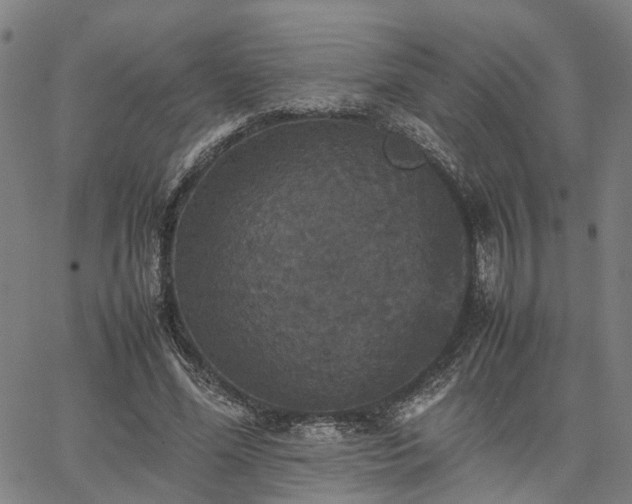 X0000067890588200604201311