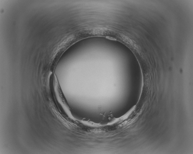 X0000067890589200604201311