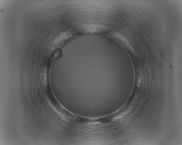 X0000067890590200604201311