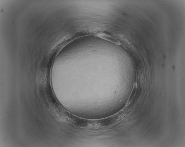 X0000067890591200604201311