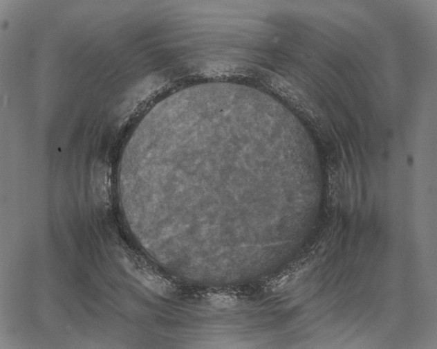 X0000067890592200604201311