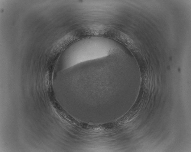 X0000067890594200604201311