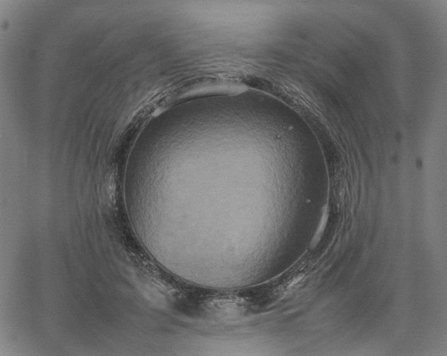 X0000067890595200604201311