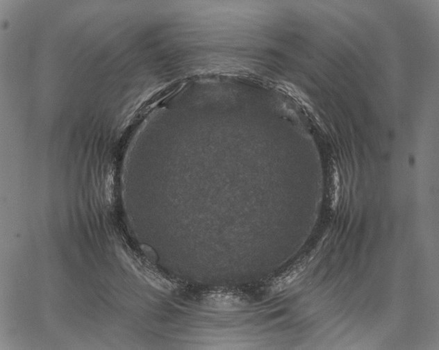 X0000067890596200604201311