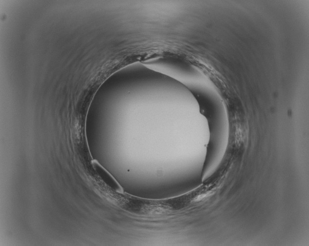 X0000067890597200604201311