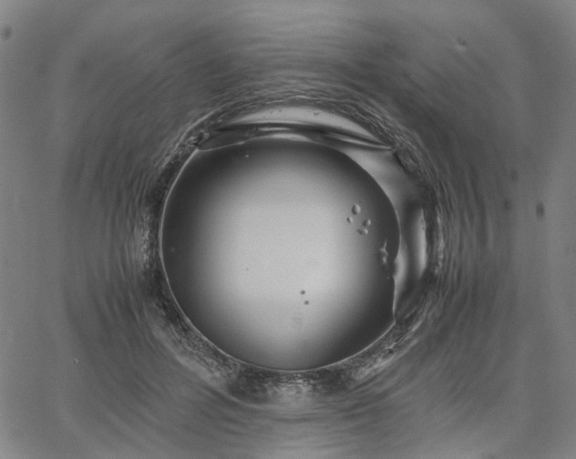 X0000067890600200604201311