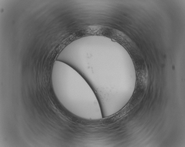 X0000067890602200604201311