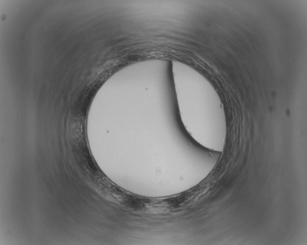 X0000067890603200604201311