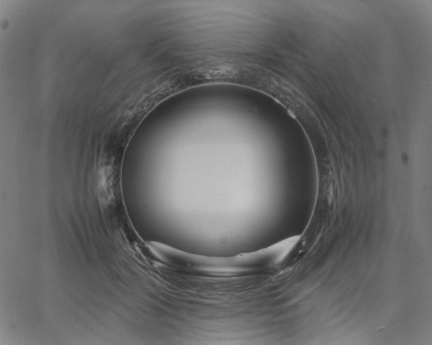 X0000067890604200604201311