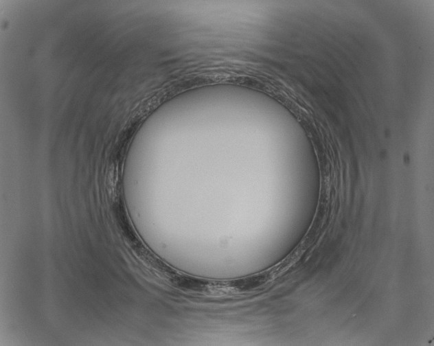 X0000067890605200604201311