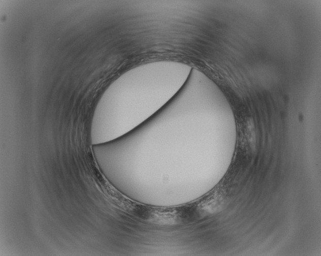 X0000067890606200604201311