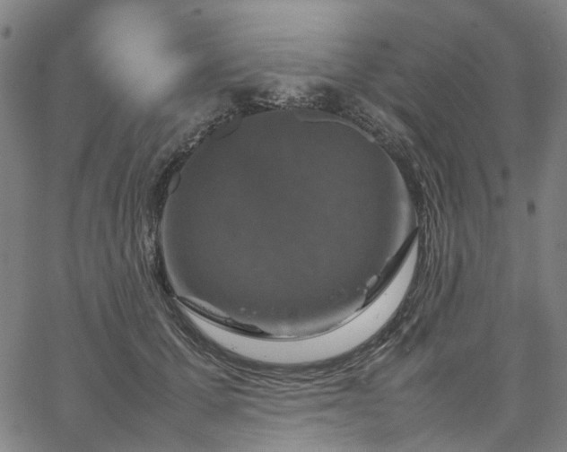 X0000067890607200604201311