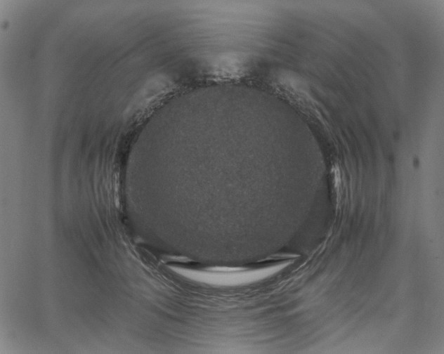 X0000067890608200604201311